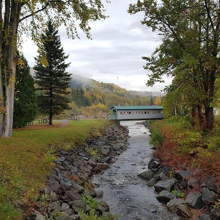 Condo-Chalet De La Vallee D'Edouard L'Anse-Saint-Jean Bagian luar foto