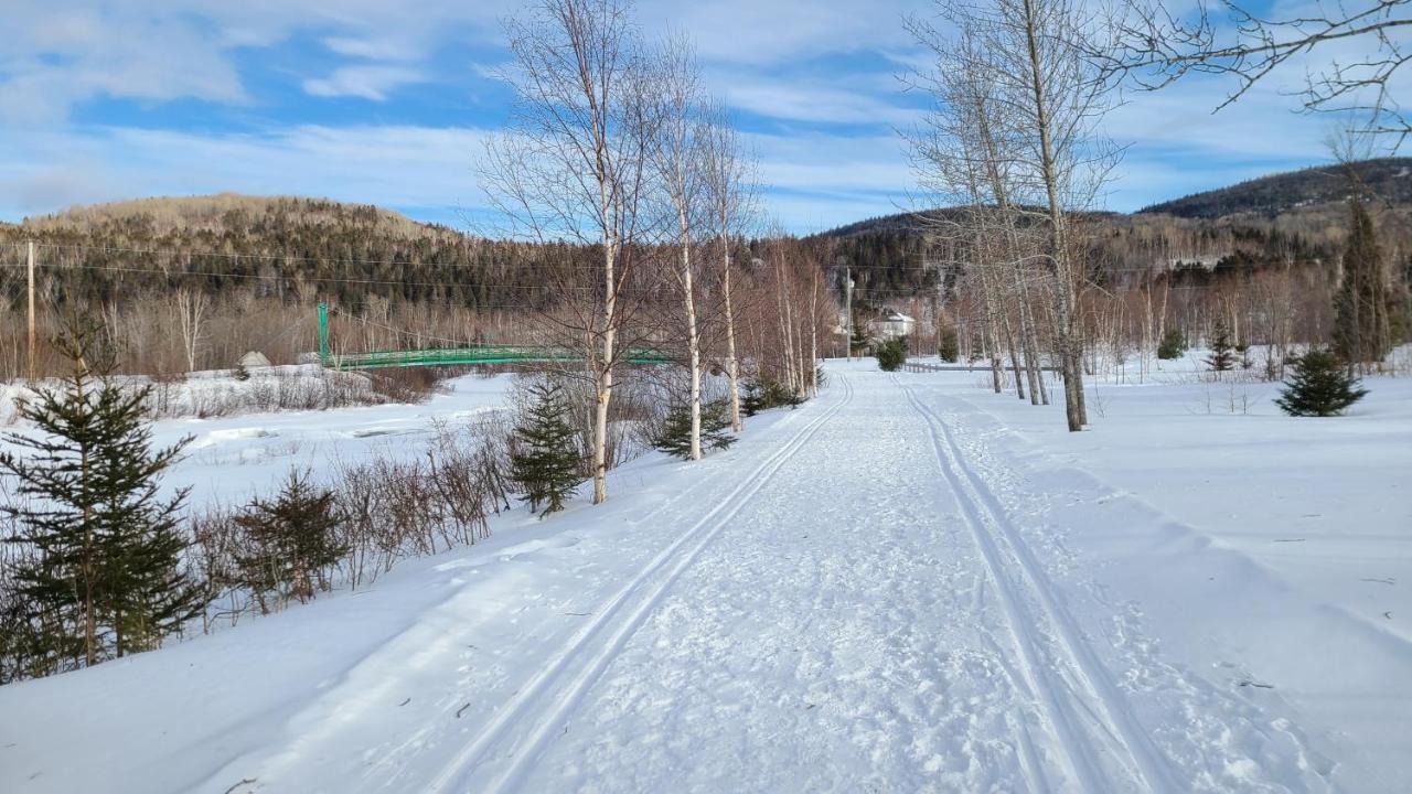 Condo-Chalet De La Vallee D'Edouard L'Anse-Saint-Jean Bagian luar foto