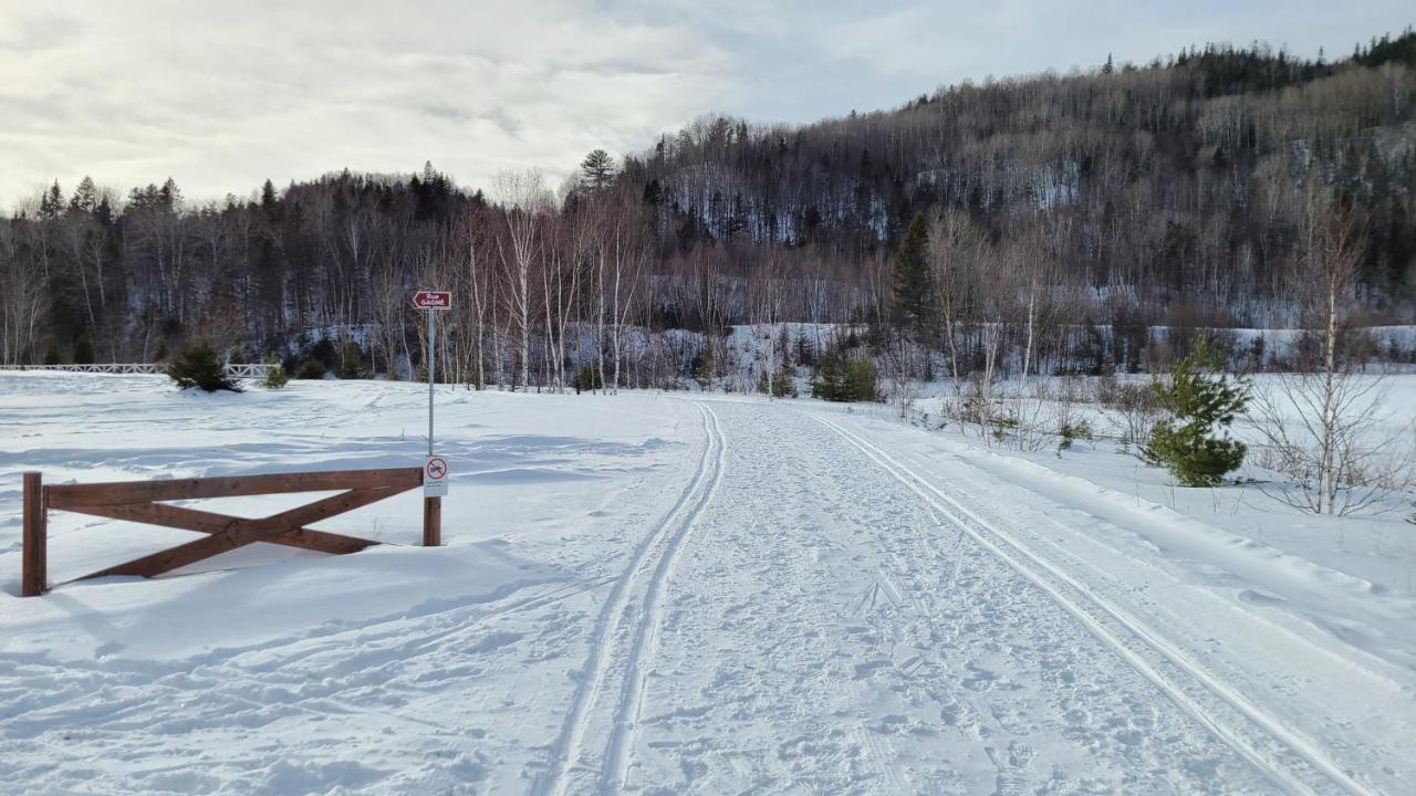 Condo-Chalet De La Vallee D'Edouard L'Anse-Saint-Jean Bagian luar foto