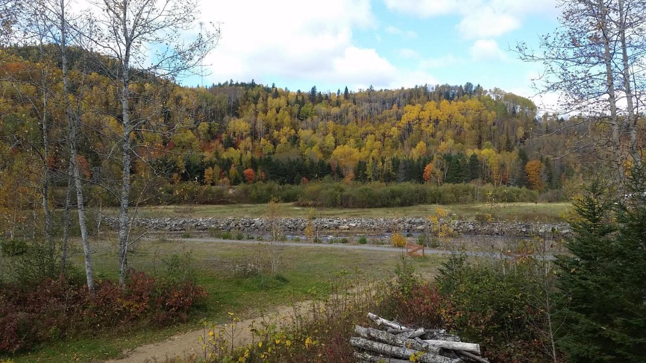 Condo-Chalet De La Vallee D'Edouard L'Anse-Saint-Jean Bagian luar foto