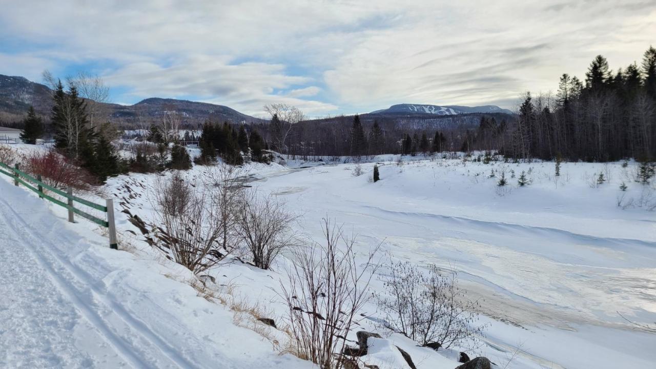 Condo-Chalet De La Vallee D'Edouard L'Anse-Saint-Jean Bagian luar foto