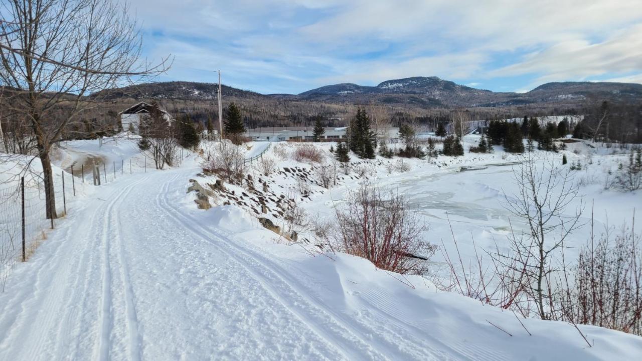Condo-Chalet De La Vallee D'Edouard L'Anse-Saint-Jean Bagian luar foto
